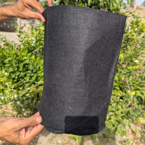 3 Gallon Fabric Growing Bag | Hard Cloth Plant Bag | Breathable Root Pruning Container | Garden & Home Planter