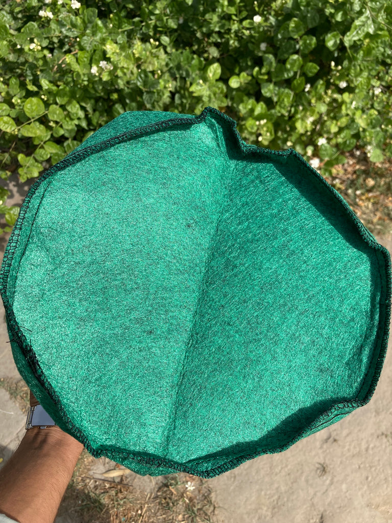 5 Gallon Fabric Growing Bag | Hard Cloth Plant Bag | Breathable Root Pruning Container | Garden & Home Planter