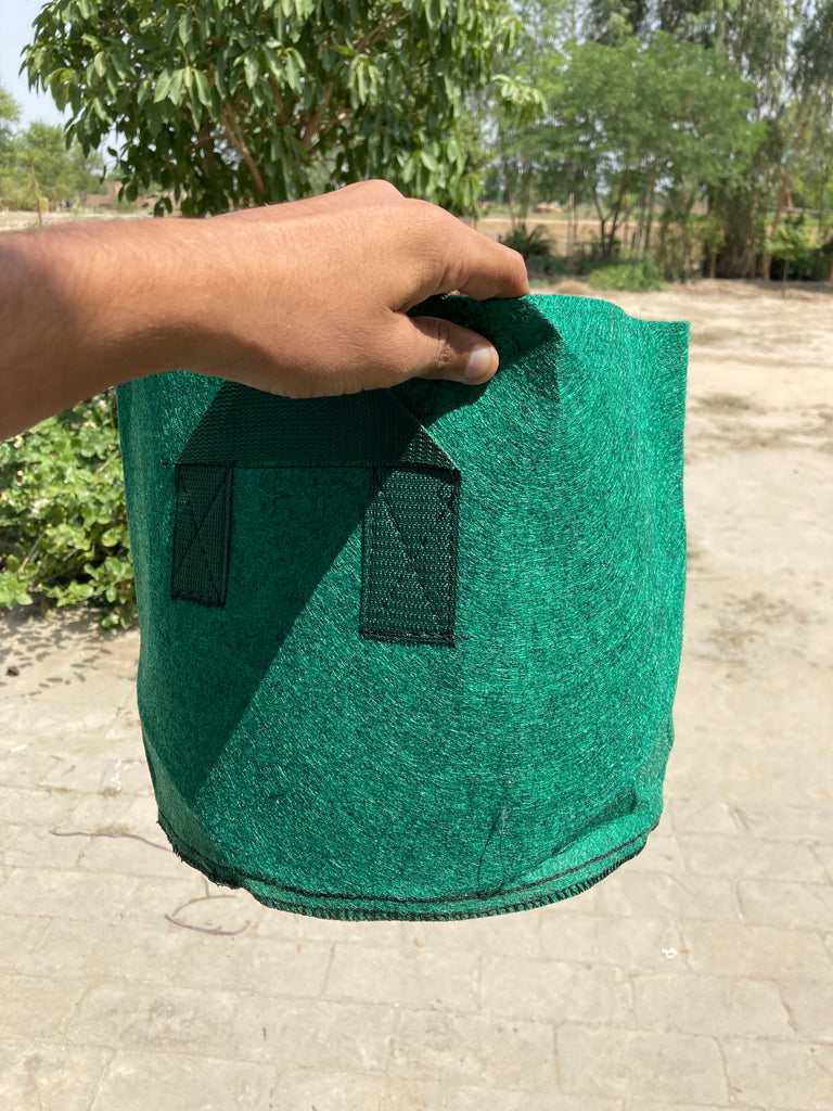 5 Gallon Fabric Growing Bag | Hard Cloth Plant Bag | Breathable Root Pruning Container | Garden & Home Planter