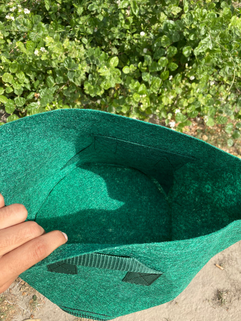 5 Gallon Fabric Growing Bag | Hard Cloth Plant Bag | Breathable Root Pruning Container | Garden & Home Planter