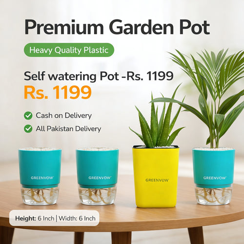 Self Watering Round Pots 6 Inch – Set of 4 | Heavy Plastic | Multiple Colors | Indoor & Outdoor Smart Planter