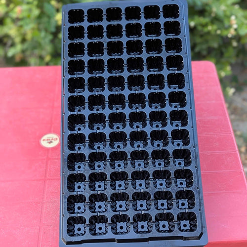 72 Cell Plastic Seedling Tray | Seed Starter Germination Tray | Nursery Propagation Tray | Kitchen & Home Garden