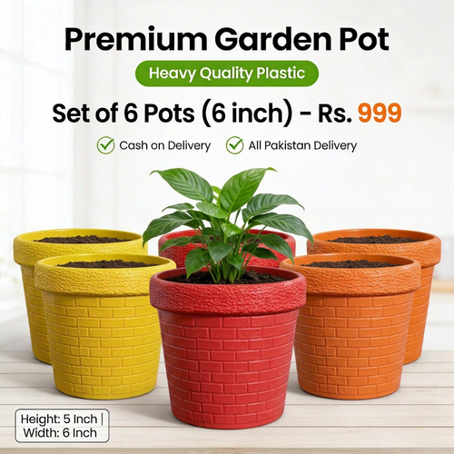 Classic Round Pots Set of 6 – 6 Inch | Perfect for Home & Garden Décor