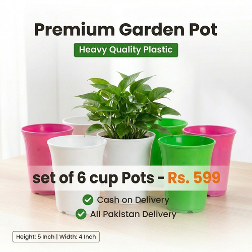 Round Glass Pots 4-5 Inch – Set of 6 | Transparent Elegant Planter | Indoor Desktop & Shelf Décor