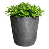 3 Gallon Fabric Growing Bag | Hard Cloth Plant Bag | Breathable Root Pruning Container | Garden & Home Planter