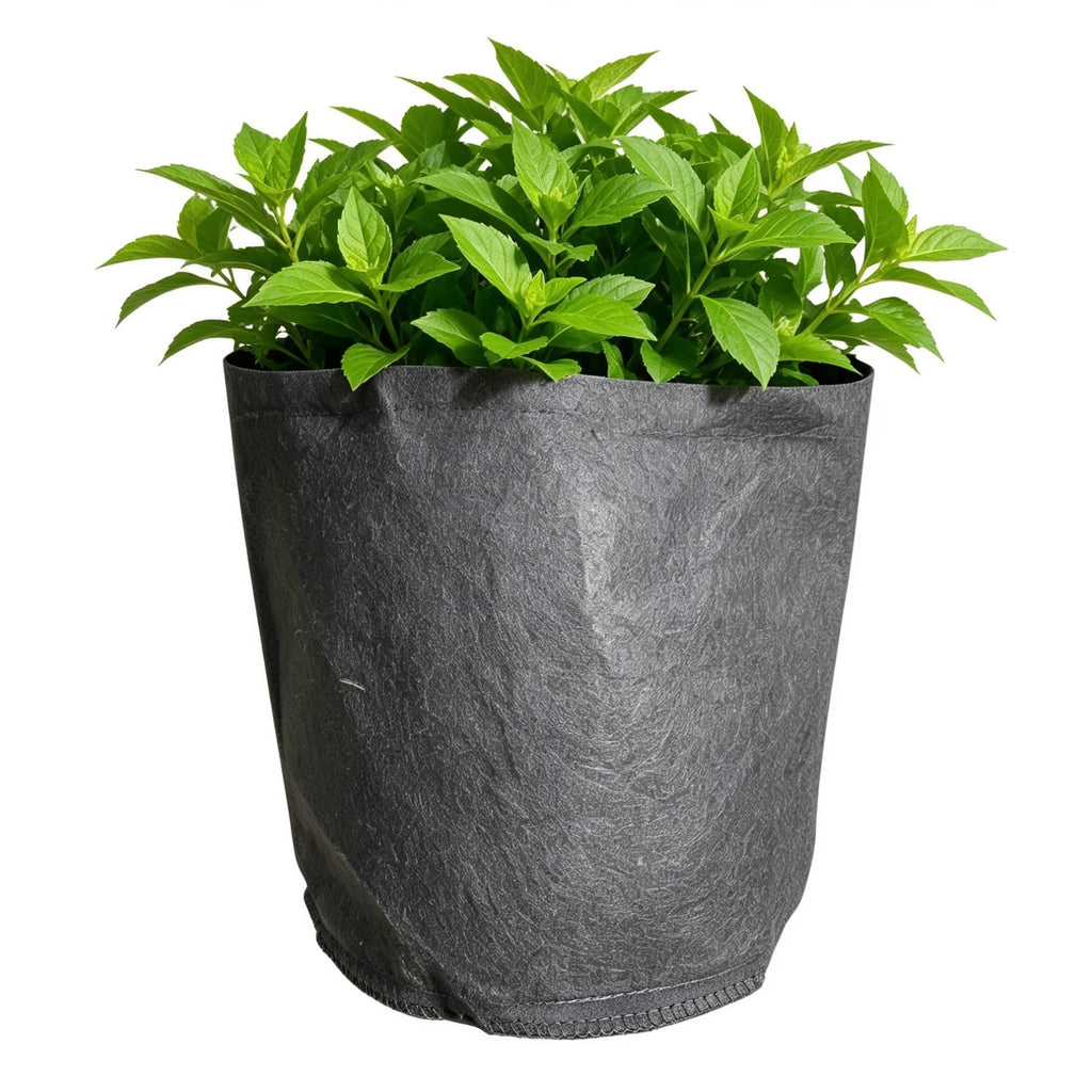3 Gallon Fabric Growing Bag | Hard Cloth Plant Bag | Breathable Root Pruning Container | Garden & Home Planter