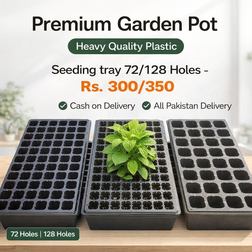 Greenvow Pakistan