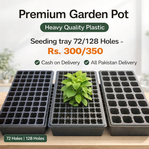 72 Cell Plastic Seedling Tray | Seed Starter Germination Tray | Nursery Propagation Tray | Kitchen & Home Garden