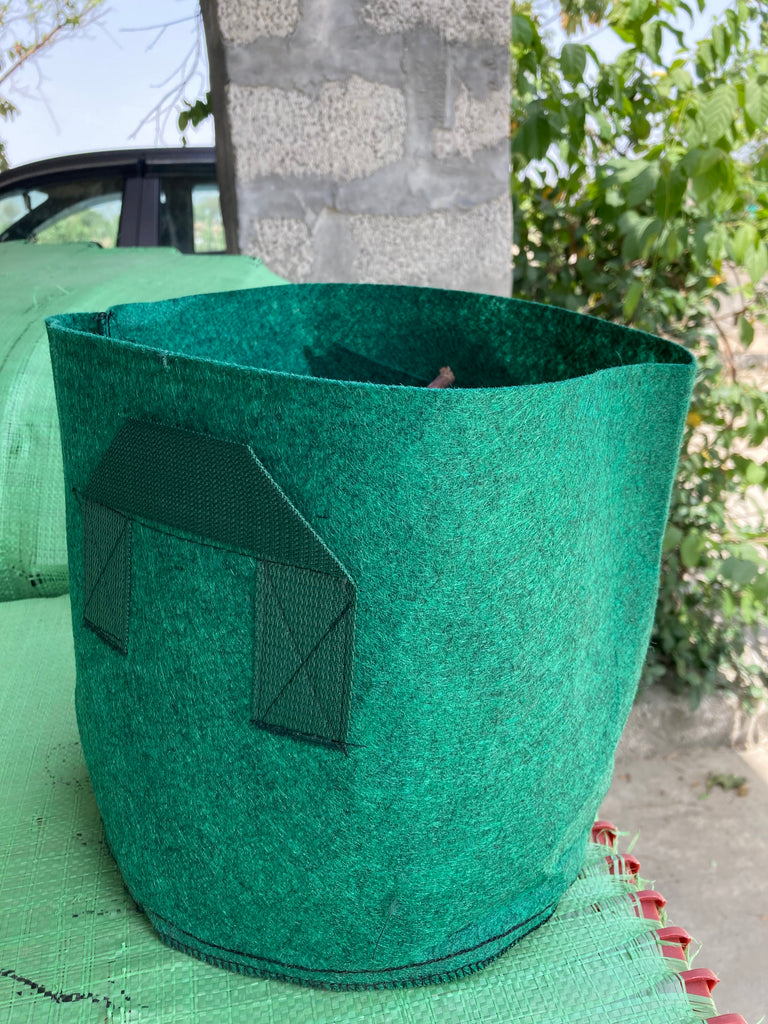5 Gallon Fabric Growing Bag | Hard Cloth Plant Bag | Breathable Root Pruning Container | Garden & Home Planter