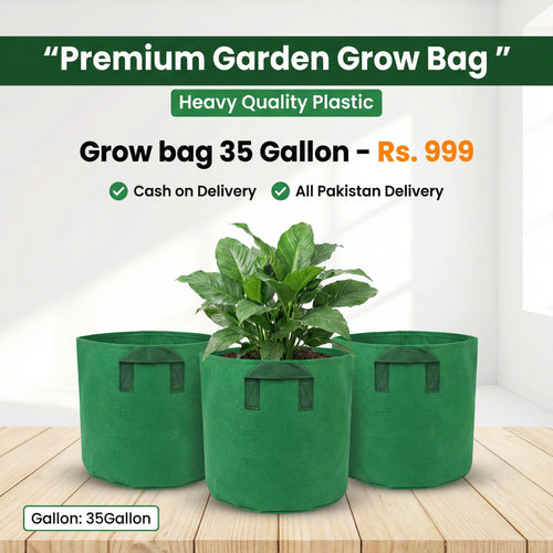 35 Gallon Fabric Growing Bag | Hard Cloth Plant Bag | Jumbo Root Pruning Container | Rooftop & Kitchen Garden Planter